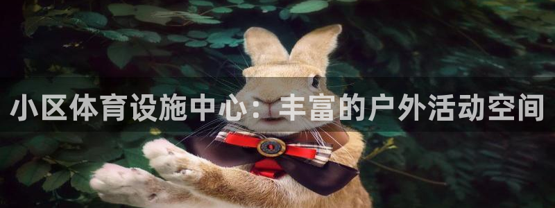 意昂4官方：小区体育设施中心：丰富的户外活动空间