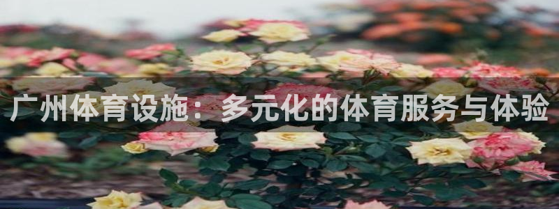 意昂体育4平台是正规平台吗安全吗：广州体育设施：多元