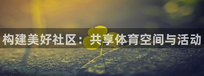 意昂体育4平台注册流程图：构建美好社区：共享体育空间