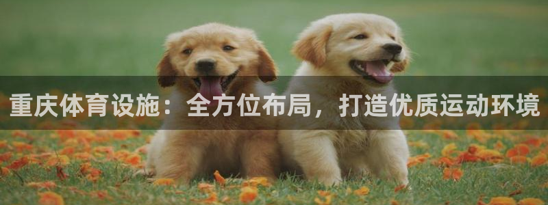 意昂体育4平台注册要钱吗是真的吗：重庆体育设施：全方