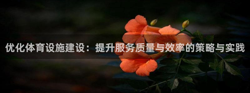 意昂体育4招商电话：优化体育设施建设：提升服务质量与