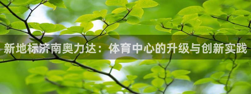 意昂4娱乐是那个系列的台子：新地标济南奥力达：体育中