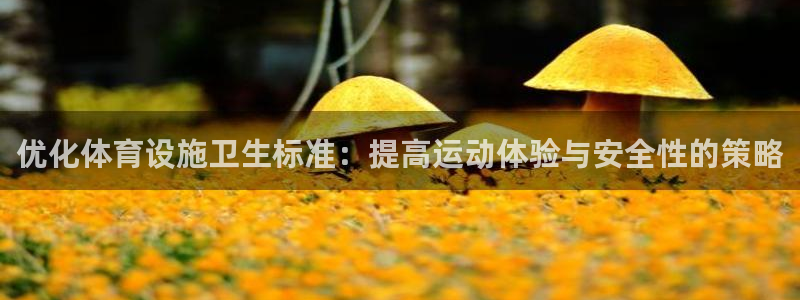 海南意昂体育4：优化体育设施卫生标准：提高运动体验与