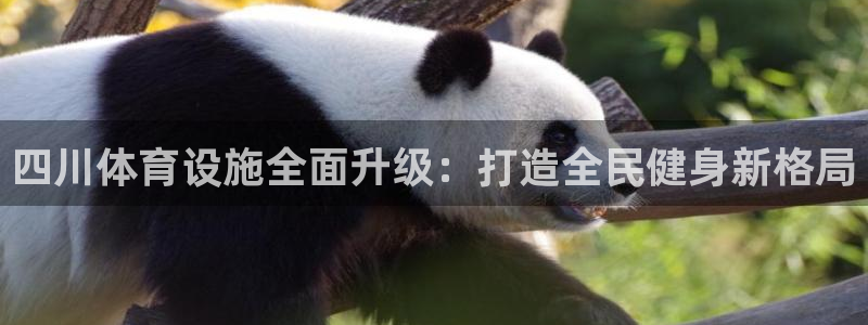 意昂体育4招商电话号码是多少：四川体育设施全面升级：
