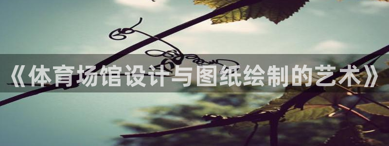 意昂4新能源