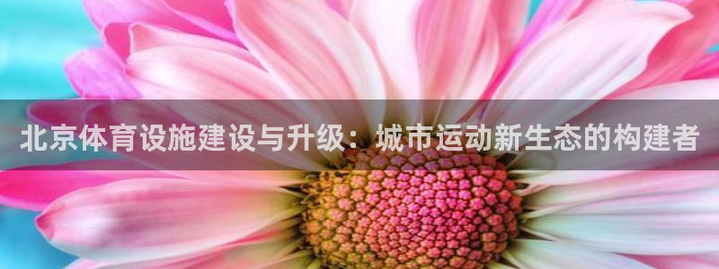 意昂体育4平台是正规平台吗：北京体育设施建设与升级：