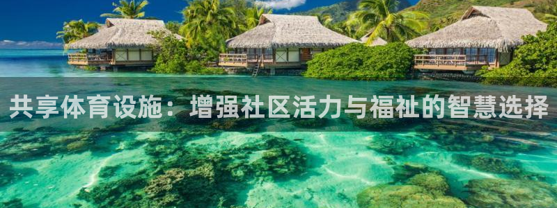 意昂4集团官网网址：共享体育设施：增强社区活力与福祉
