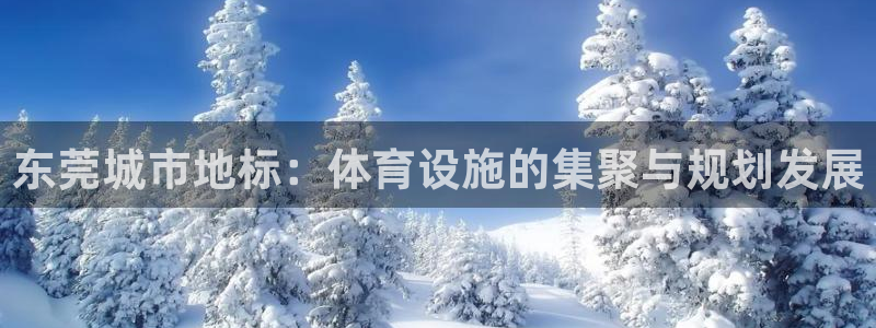 意昂4开户：东莞城市地标：体育设施的集聚与规划发展