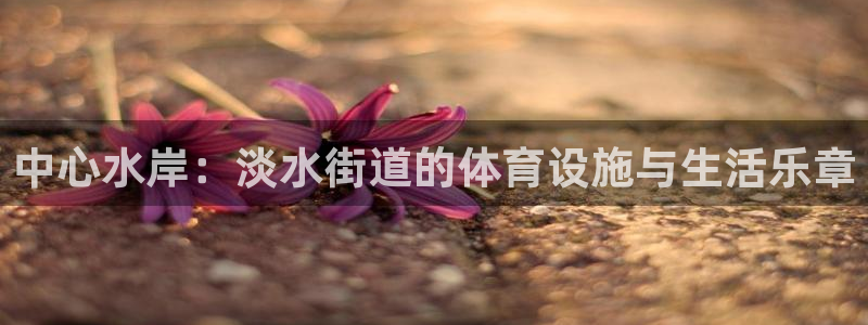 意昂4娱乐代理怎么样：中心水岸：淡水街道的体育设施与