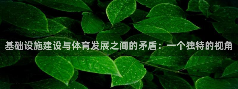 意昂4集团官网网址：基础设施建设与体育发展之间的矛盾：一个独