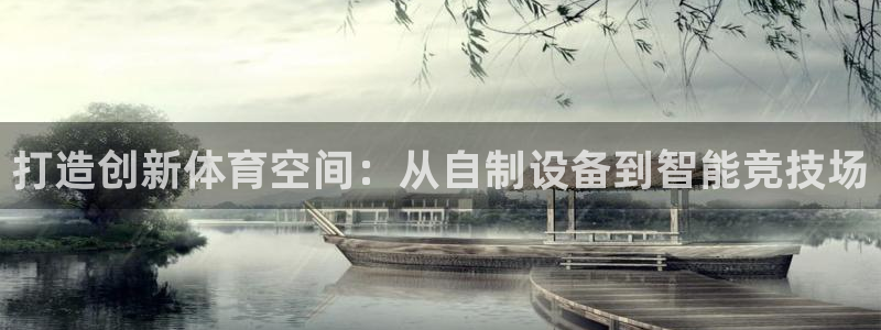 意昂体育4是干嘛的公司：打造创新体育空间：从自制设备到智能竞