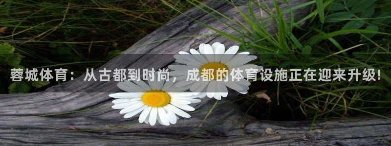 意昂体育4软件：蓉城体育：从古都到时尚，成都的体育设