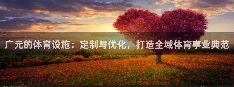 意昂体育4平台是正规平台吗安全吗：广元的体育设施：定