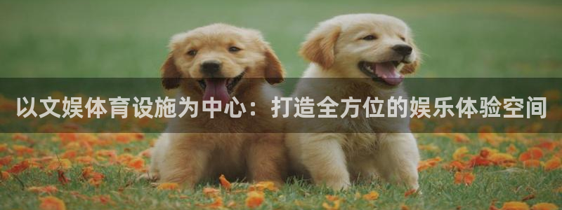 意昂4官网：以文娱体育设施为中心：打造全方位的娱乐体验空间