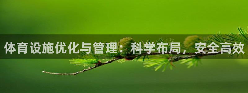 意昂4娱乐首页网站大全：体育设施优化与管理：科学布局，安全高