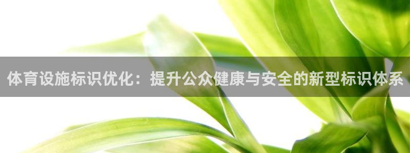 意昂4集团简介：体育设施标识优化：提升公众健康与安全