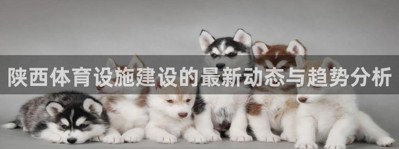 意昂体育4：陕西体育设施建设的最新动态与趋势分析