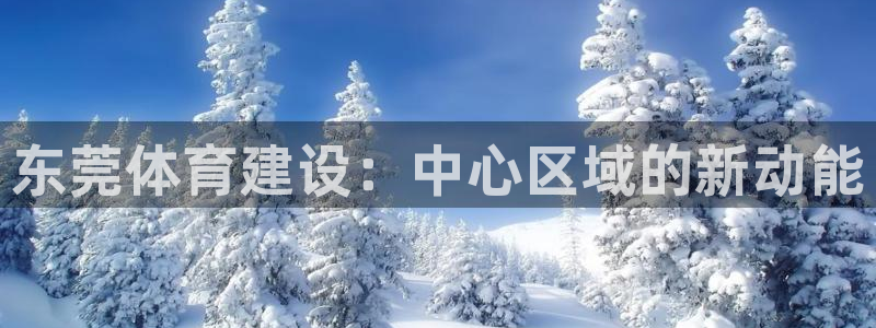 意昂集团官网：东莞体育建设：中心区域的新动能