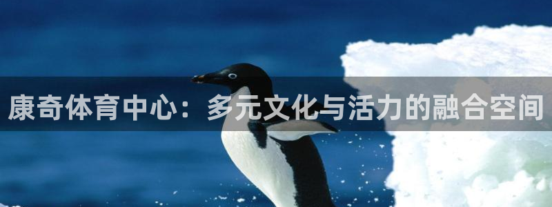 意昂4娱乐：康奇体育中心：多元文化与活力的融合空间