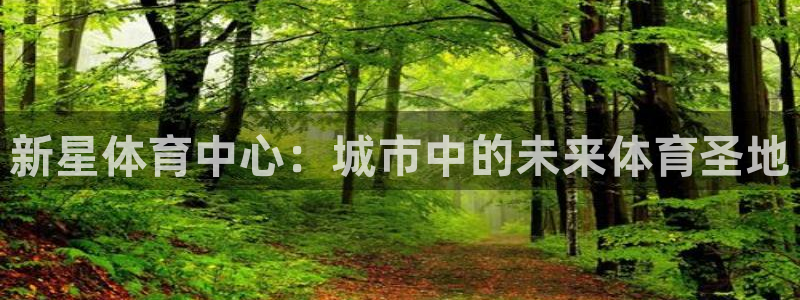 意昂体育4平台APP：新星体育中心：城市中的未来体育