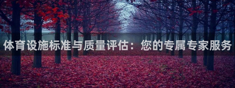意昂4集团简介：体育设施标准与质量评估：您的专属专家