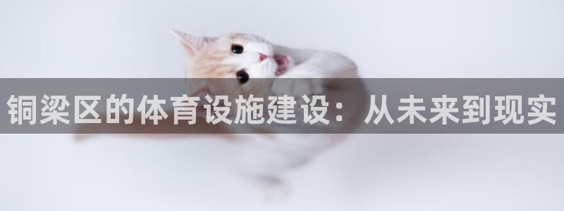 意昂体育4软件：铜梁区的体育设施建设：从未来到现实