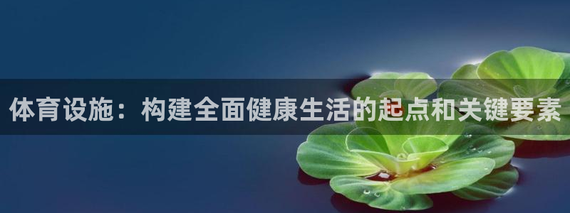 意昂4娱乐是那个系列的台子：体育设施：构建全面健康生