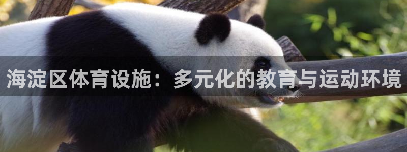 意昂体育4招商电话号码是多少：海淀区体育设施：多元化