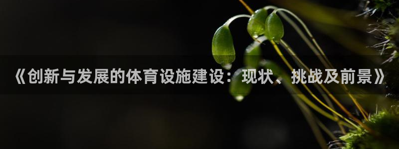 意昂4娱乐40996：《创新与发展的体育设施建设：现