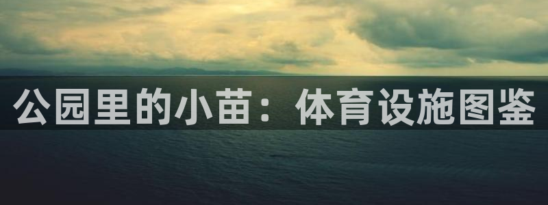 意昂4集团官网首页：公园里的小苗：体育设施图鉴