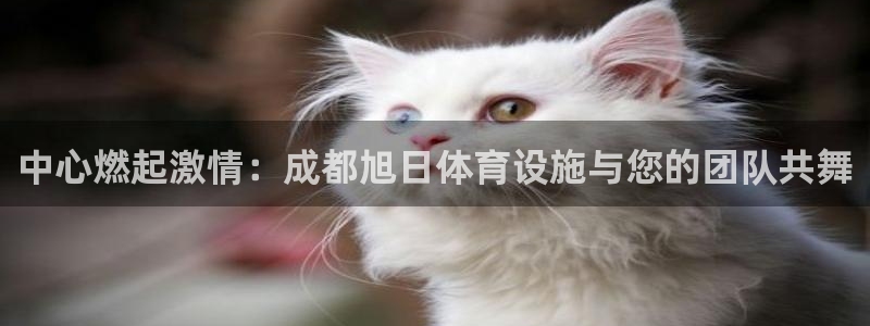 意昂4集团：中心燃起激情：成都旭日体育设施与您的团队