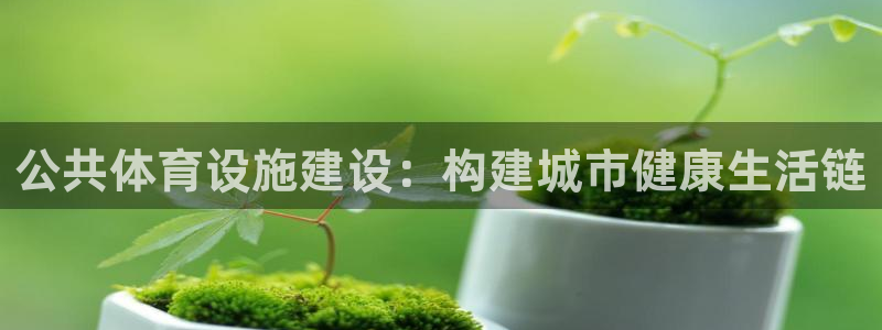 意昂体育4平台注册要钱吗安全吗：公共体育设施建设：构