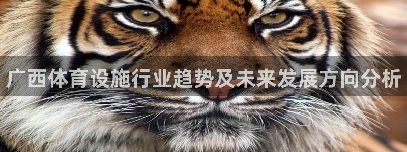 德国意昂4集团：广西体育设施行业趋势及未来发展方向分