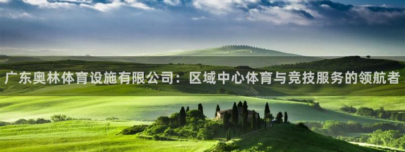 意昂4新能源：广东奥林体育设施有限公司：区域中心体育