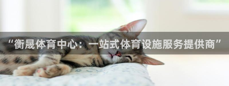 意昂体育4娱乐：“衡晟体育中心：一站式体育设施服务提