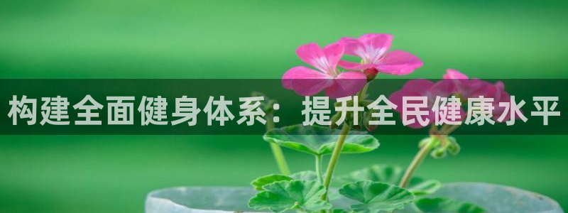 海南意昂体育4：构建全面健身体系：提升全民健康水平