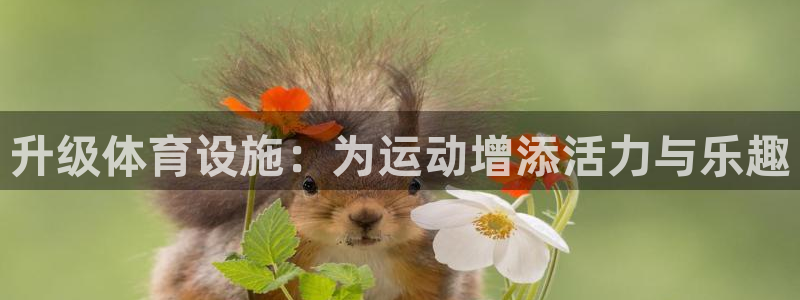 意昂4娱乐40996：升级体育设施：为运动增添活力与乐趣