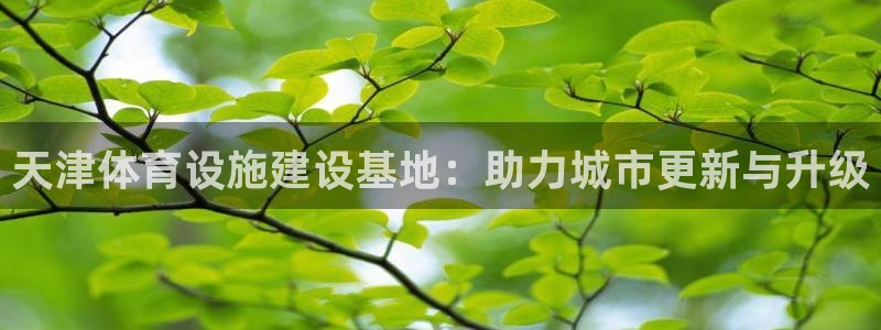 意昂4娱乐网站
