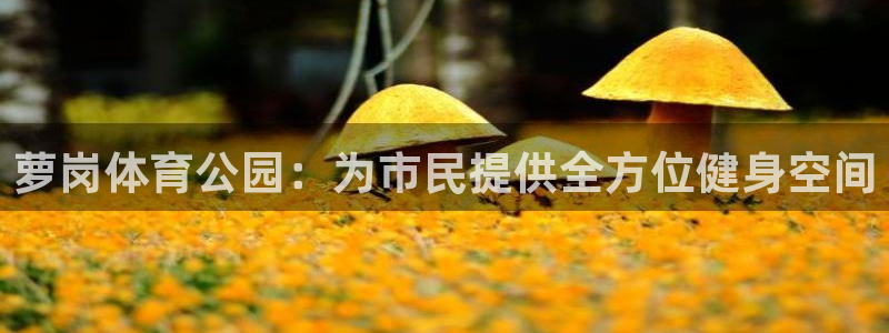 意昂体育4开户