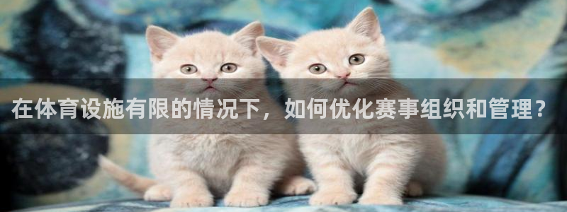 意昂4集团官网首页