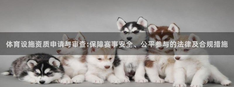 意昂体育4：体育设施资质申请与审查:保障赛事安全、公