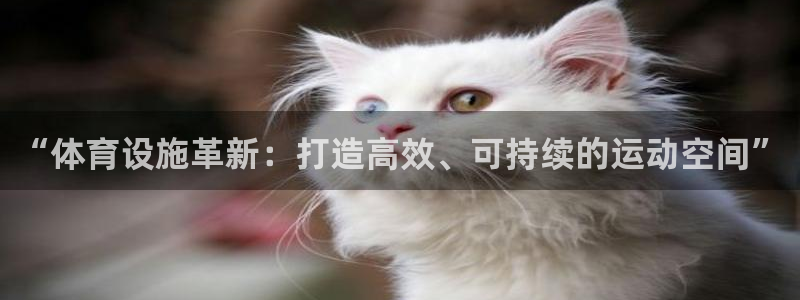 德国意昂4集团
