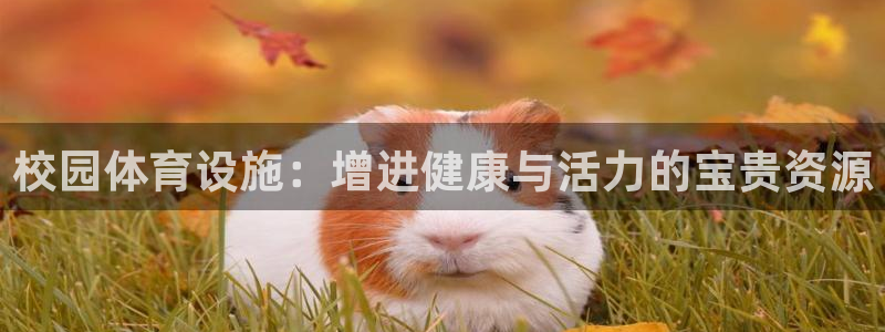意昂体育4软件：校园体育设施：增进健康与活力的宝贵资