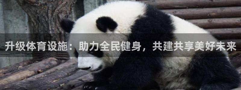 意昂体育4平台：升级体育设施：助力全民健身，共建共享