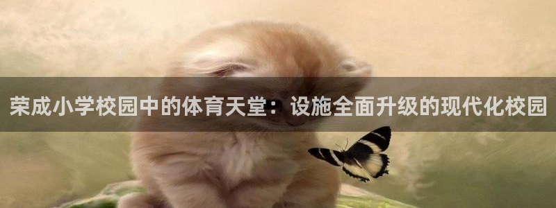 意昂4官网：荣成小学校园中的体育天堂：设施全面升级的