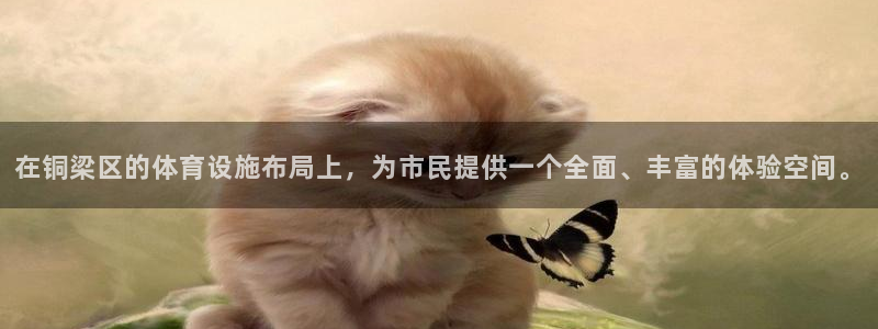 意昂体育4招商电话是多少