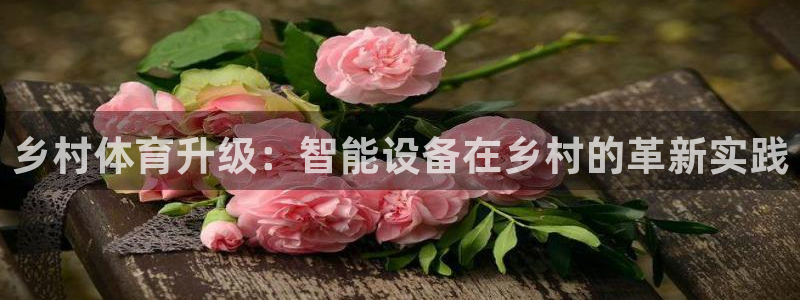 意昂体育4平台假的吗是真的吗