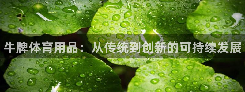 意昂4集团