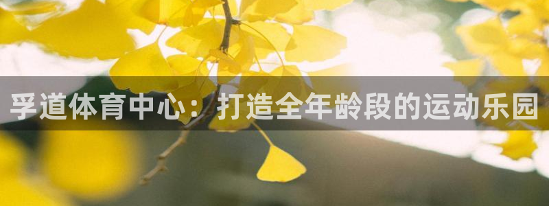 意昂体育4开户：孚道体育中心：打造全年龄段的运动乐园