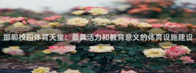 意昂体育4招商电话号码：邯郸校园体育天堂：最具活力和教育意义